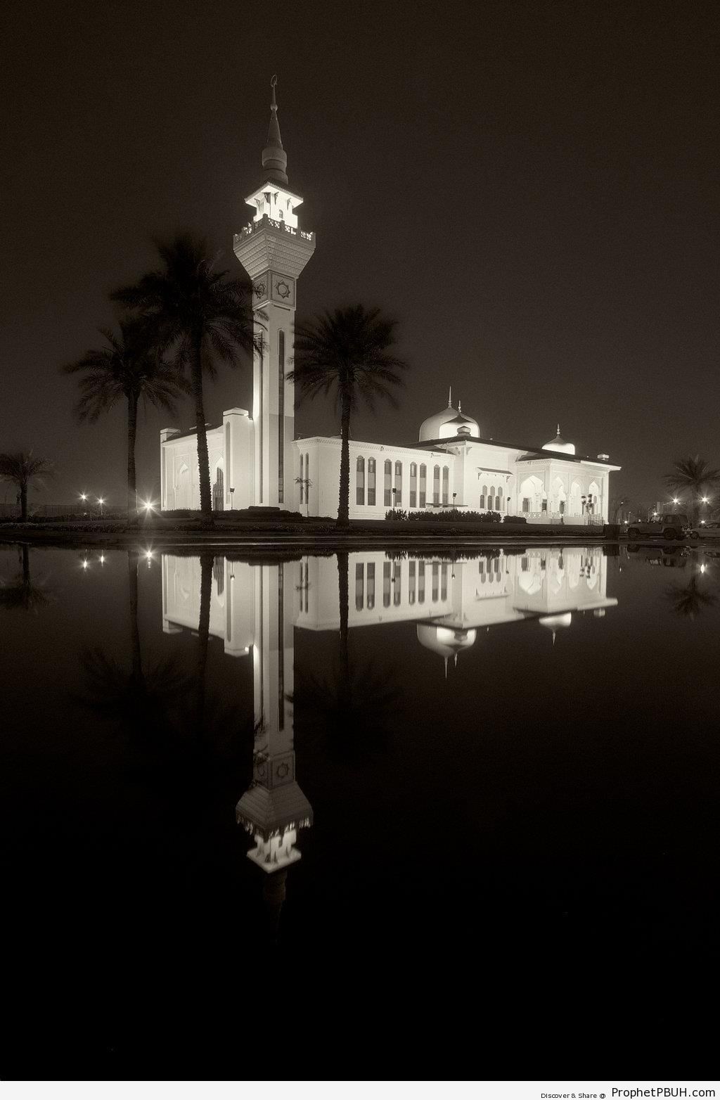 Qatar Mosque After Flood - Islamic Architecture -Picture
