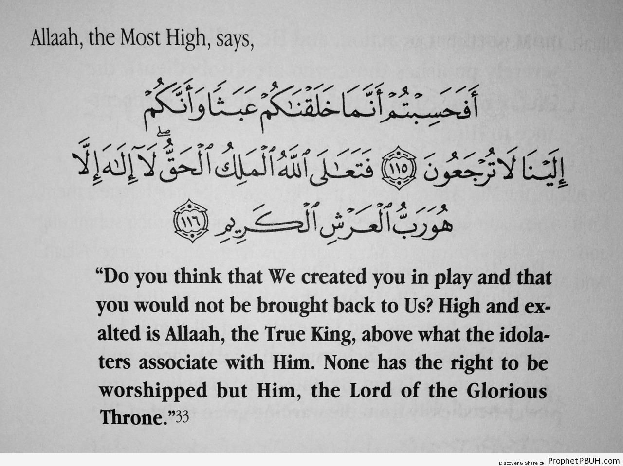 Quran 23-115-116 - Islamic Quotes 