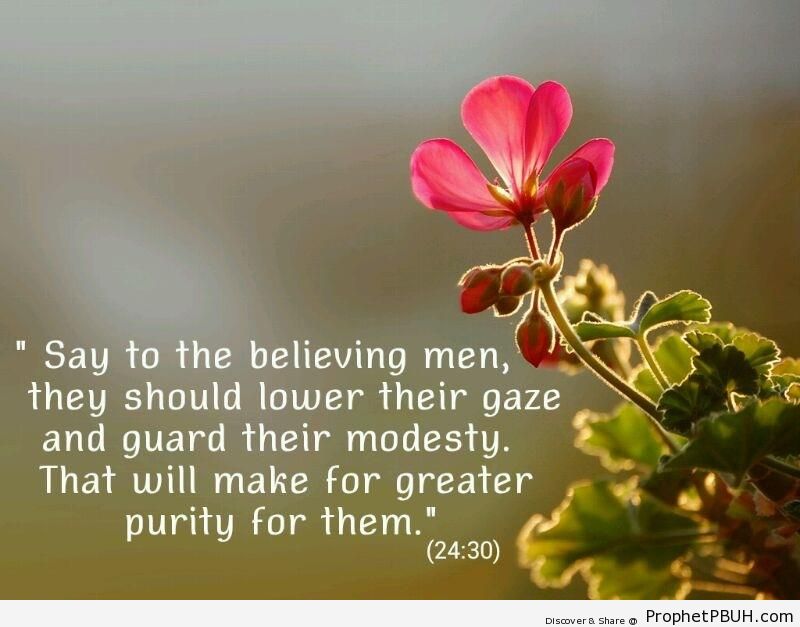 Quran 24-30 - Islamic Quotes About Modesty and Lowering the Gaze 