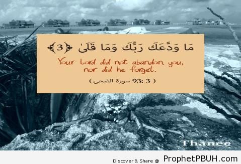 Quran 93-3 - Quran 93-3 -002