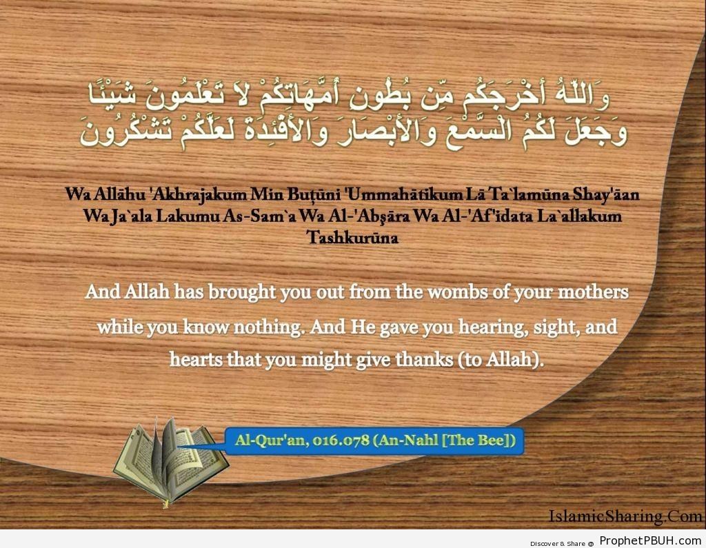 Quran Chapter 16 Verse 78 Prophet PBUH Peace Be Upon Him reading-al-quran-15-lines-part-chapter-siparah-4-page-76