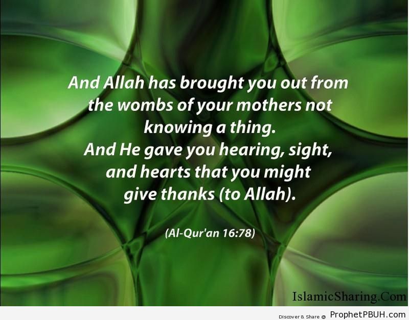 Quran Chapter 16 Verse 781