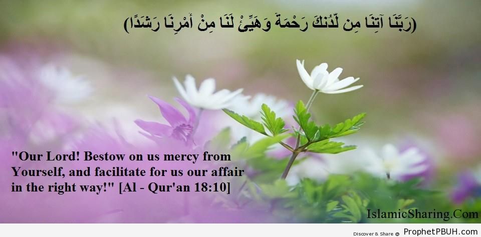 Quran Chapter 18 Verse 10