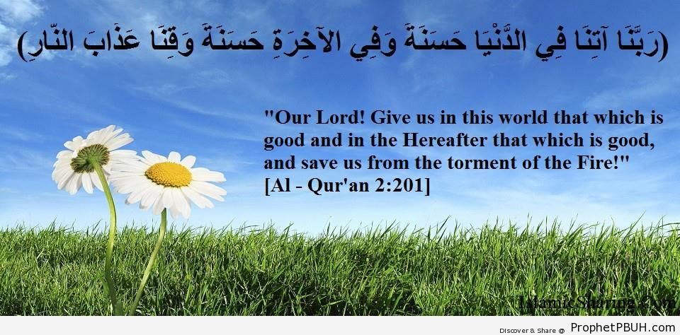 Quran Chapter 2 Verse 201