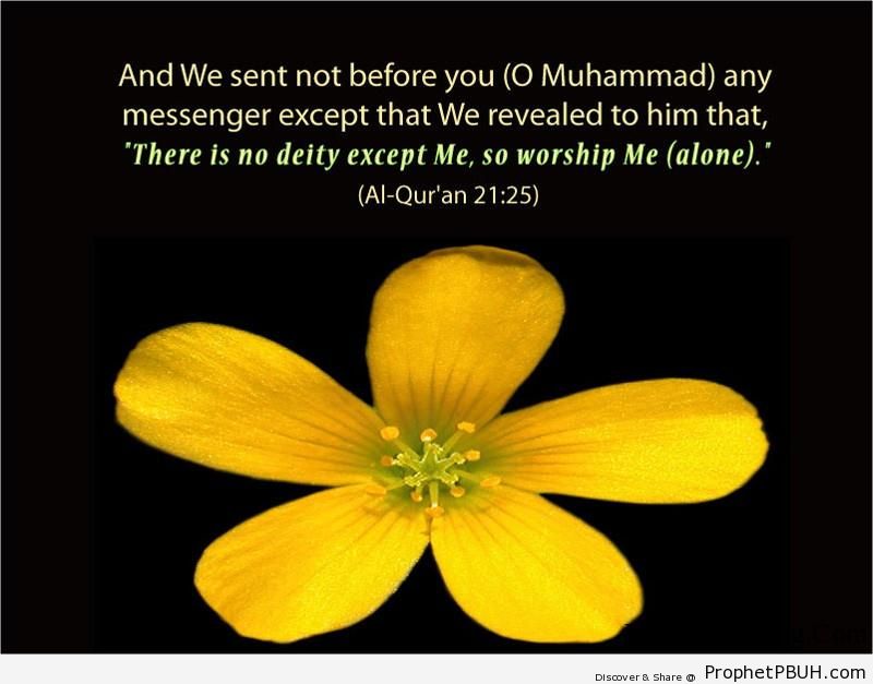Quran Chapter 21 Verse 25