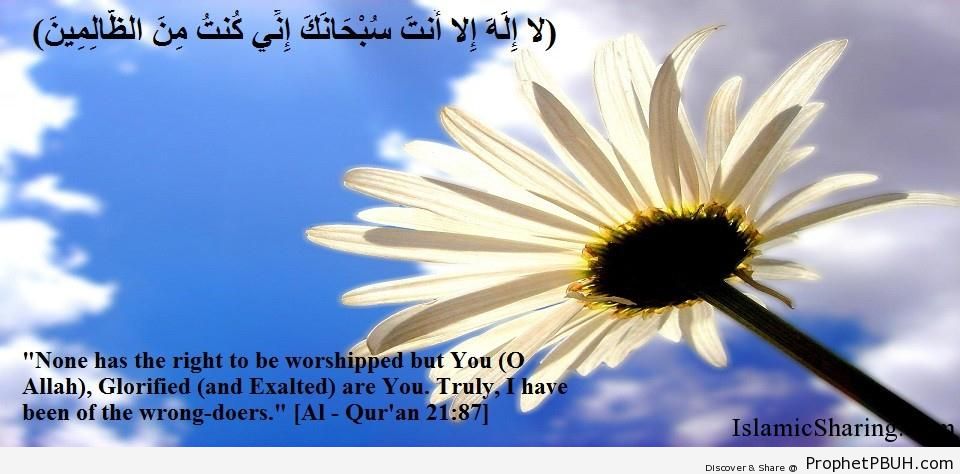 Quran Chapter 21 Verse 87
