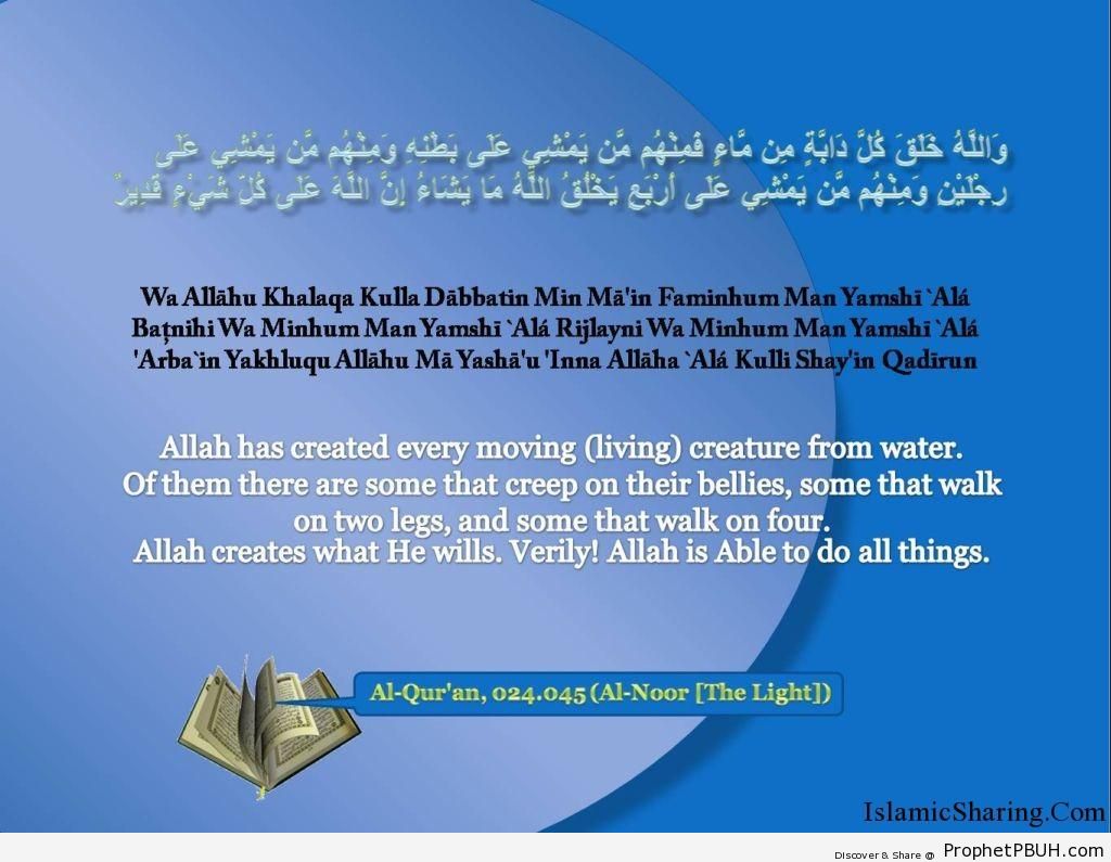 Quran Chapter 24 Verse 45