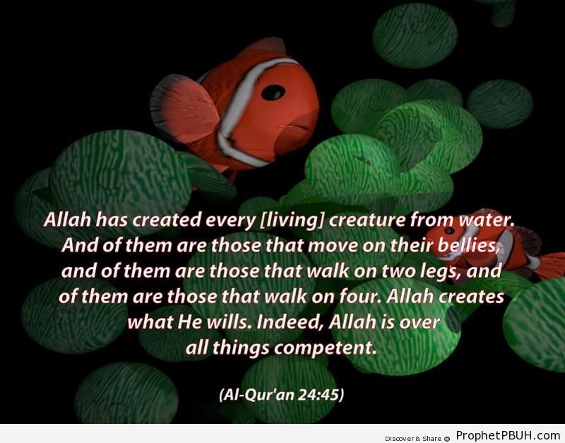 Quran Chapter 24 Verse 451