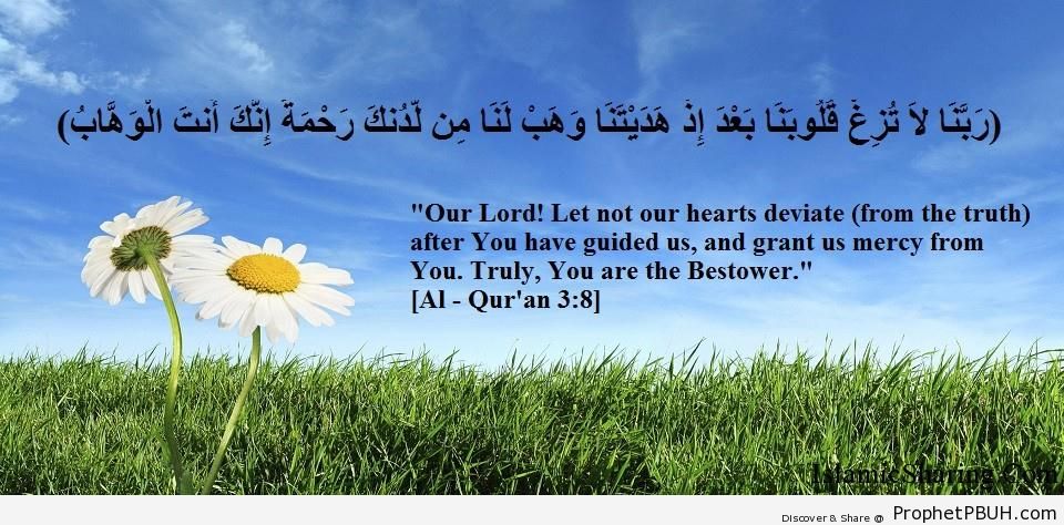 Quran Chapter 3 Verse 8