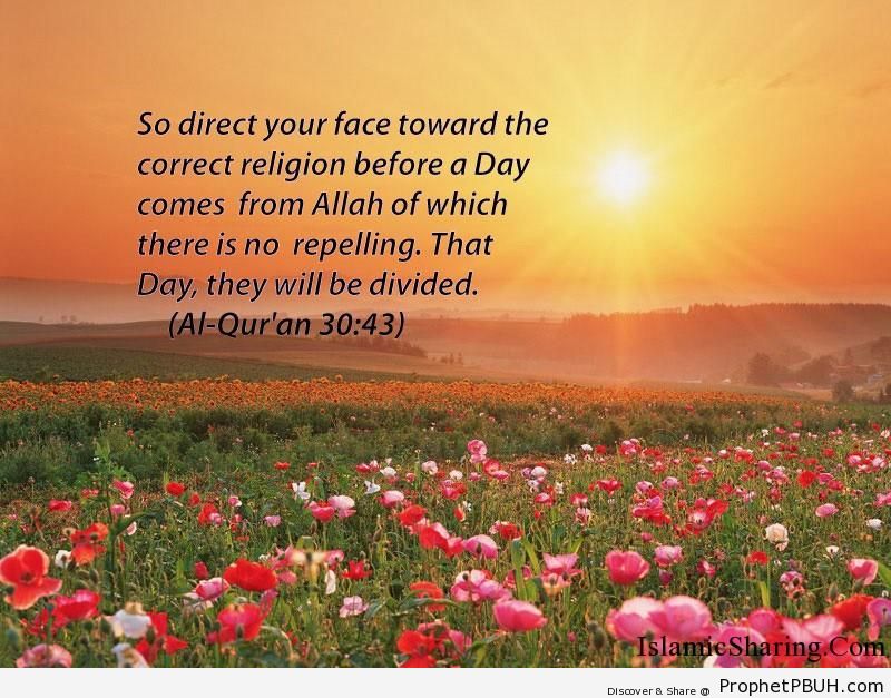 Quran Chapter 30 Verse 43