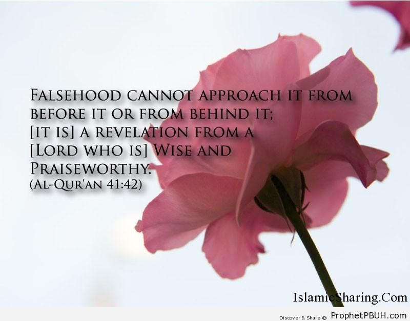 Quran Chapter 41 Verse 42