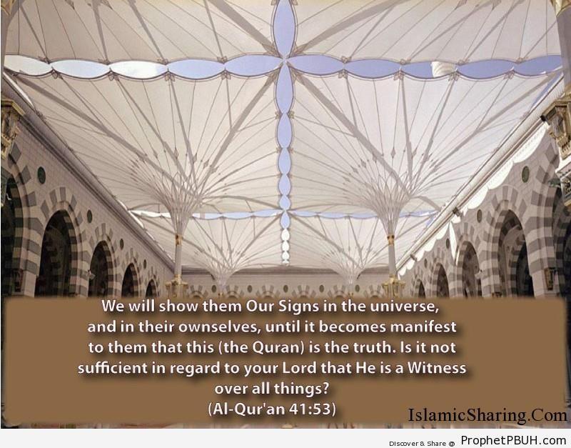 Quran Chapter 41 Verse 53