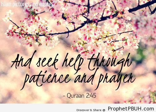 Quran Quote on Patience - Islamic Quotes