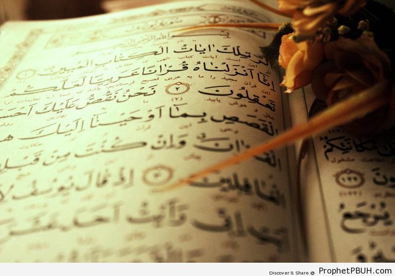 Quran and Flower - Mushaf Photos (Books of Quran)