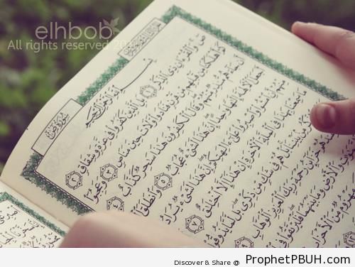 Reading Quran Outdoors - Mushaf Photos (Books of Quran)