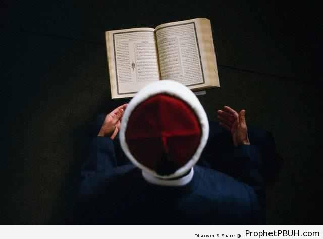 Reading Quran - Photos