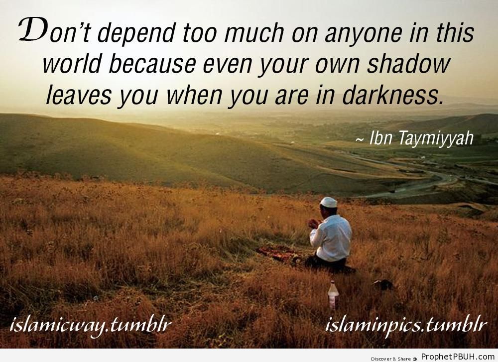 Shadow - Ibn Taymiyyah Quotes