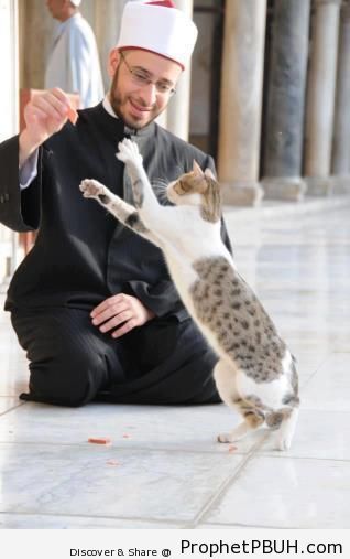 Sheikh Usama of al-Azhar Playing With Cat (Al-Azhar University, Cairo) - Al-Azhar Mosque and University in Cairo