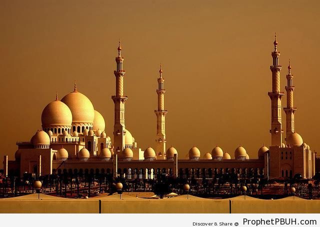 Sheikh Zayed Grand Mosque (Abu Dhabi, UAE) - Abu Dhabi, United Arab Emirates -Picture