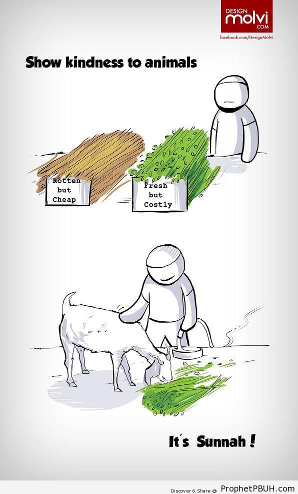 Show Kindness to Animals (Islamic Cartoon) - Drawings