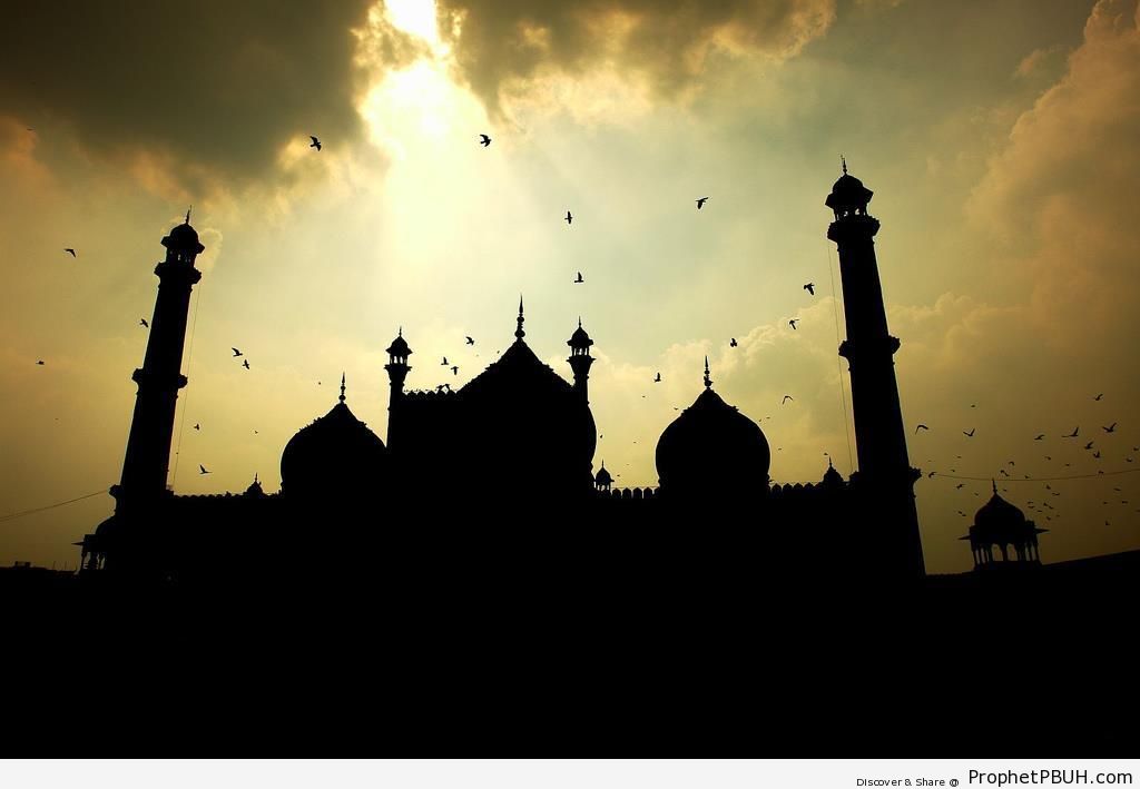 Silhouette of Old Delhi-s Jama Masjid - Delhi, India -Picture