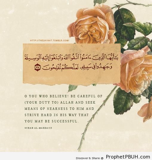 Success (Quran 5-35) - Islamic Quotes