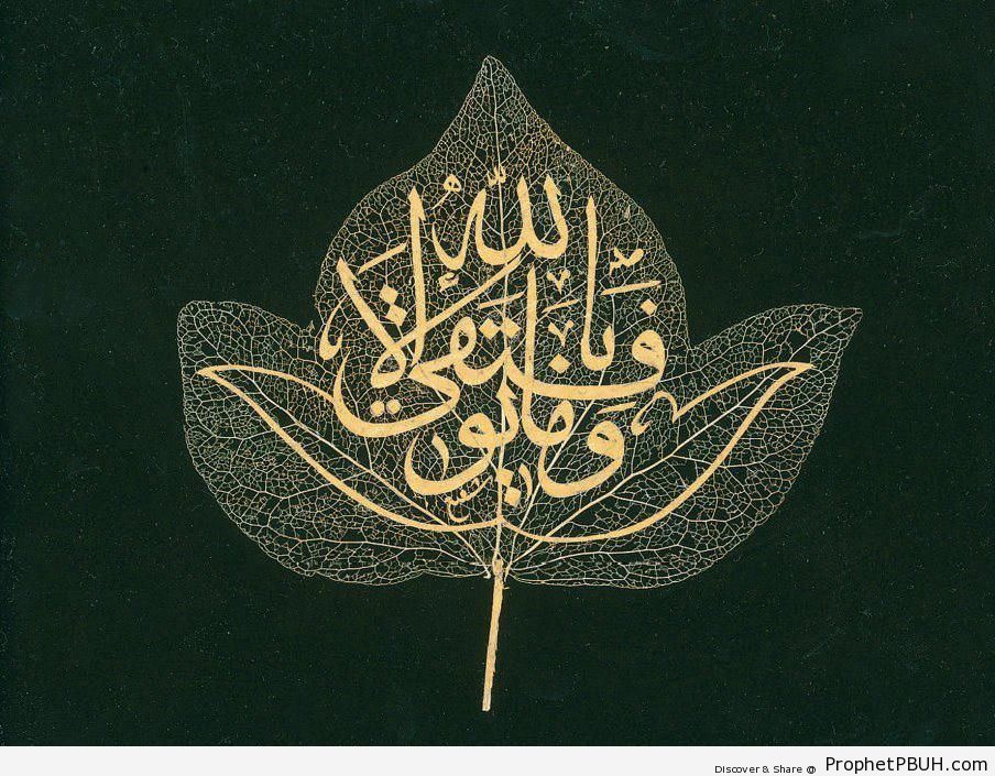 Success in the Quran - Islamic Calligraphy and Typography 