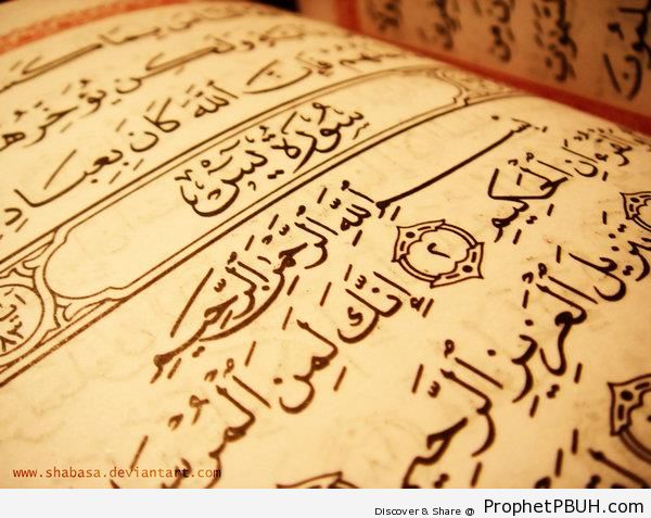 Surat Ya-Sin (Chapter 36 of the Quran) - Mushaf Photos (Books of Quran)