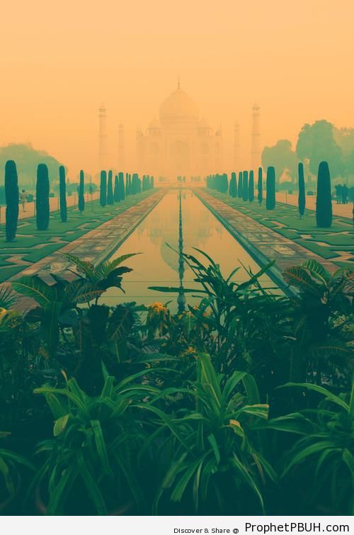Taj Mahal - Agra, India -002