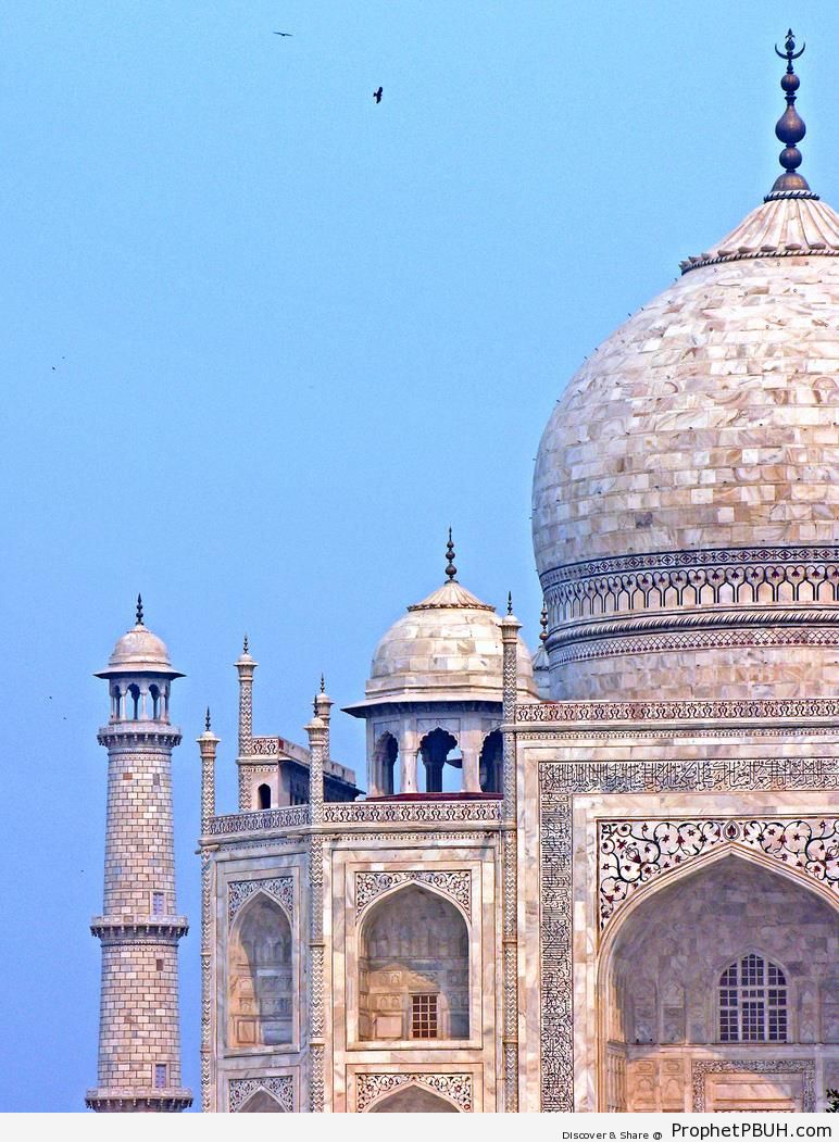 Taj Mahal Detail - Agra, India 