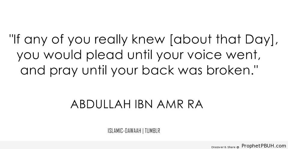 That Day (Abdullah ibn `Amr Quote) - Abdullah ibn `Amr ibn `Aas Quotes 