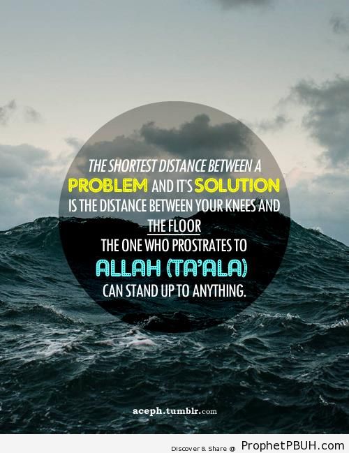 The Distance Between Your Knees and the Floor - Islamic Quotes About Tawakkul (Complete Reliance Upon Allah)