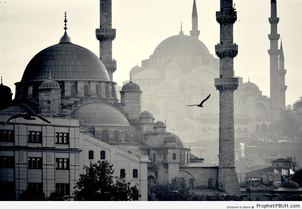 The Ottoman Imperial SÃ¼leymaniye Mosque in Istanbul, Turkey - Islamic Architecture -Picture