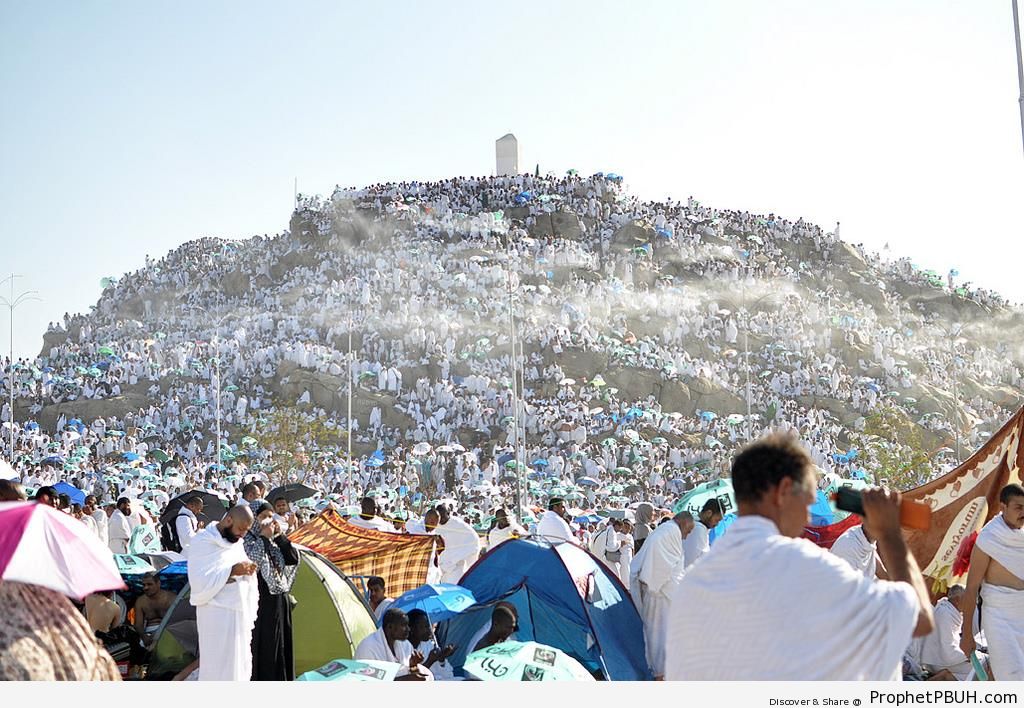 The Peak of Mount Arafat (Mount of Mercy) - Photos of Haj Proceedings -