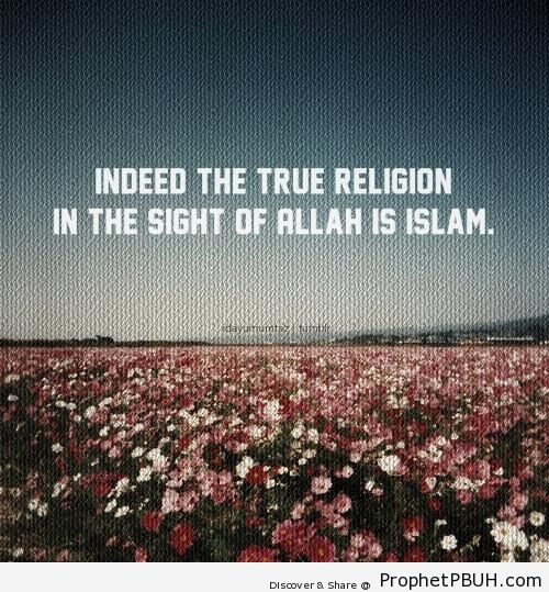 The True Religion - Photos