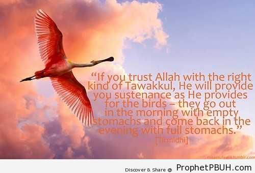 True Tawakkul (Prophet Muhammad ï·º Quote) - Hadith