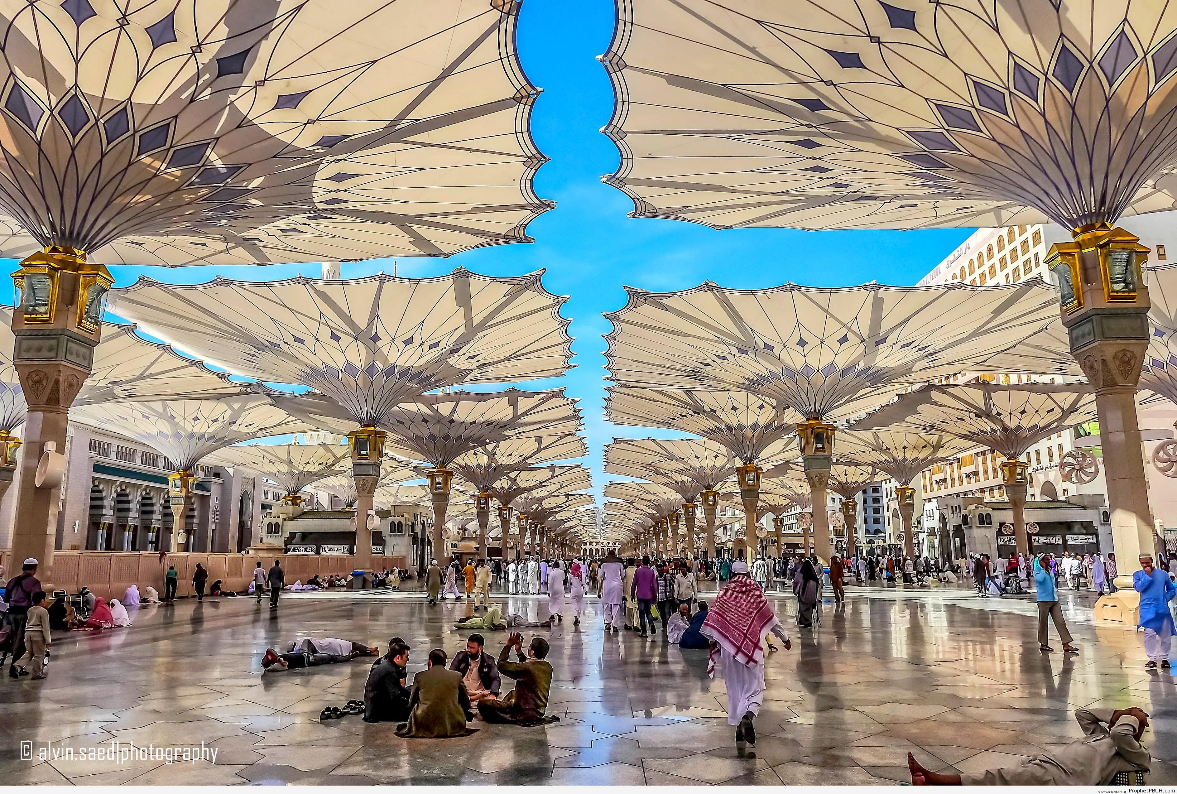 Umbrellas at al-Masjid an-Nabawi in Madinah, Saudi Arabia - Al-Masjid an-Nabawi (The Prophets Mosque) in Madinah, Saudi Arabia -Picture