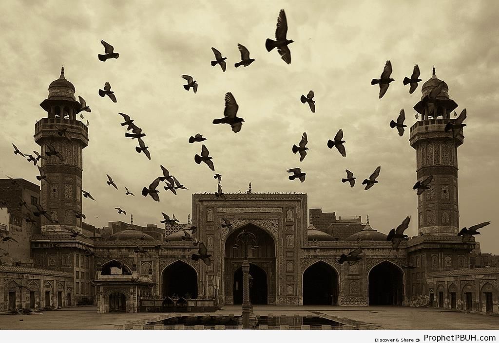 Wazir Khan Mosque in Lahore, Pakistan - Islamic Architecture -003