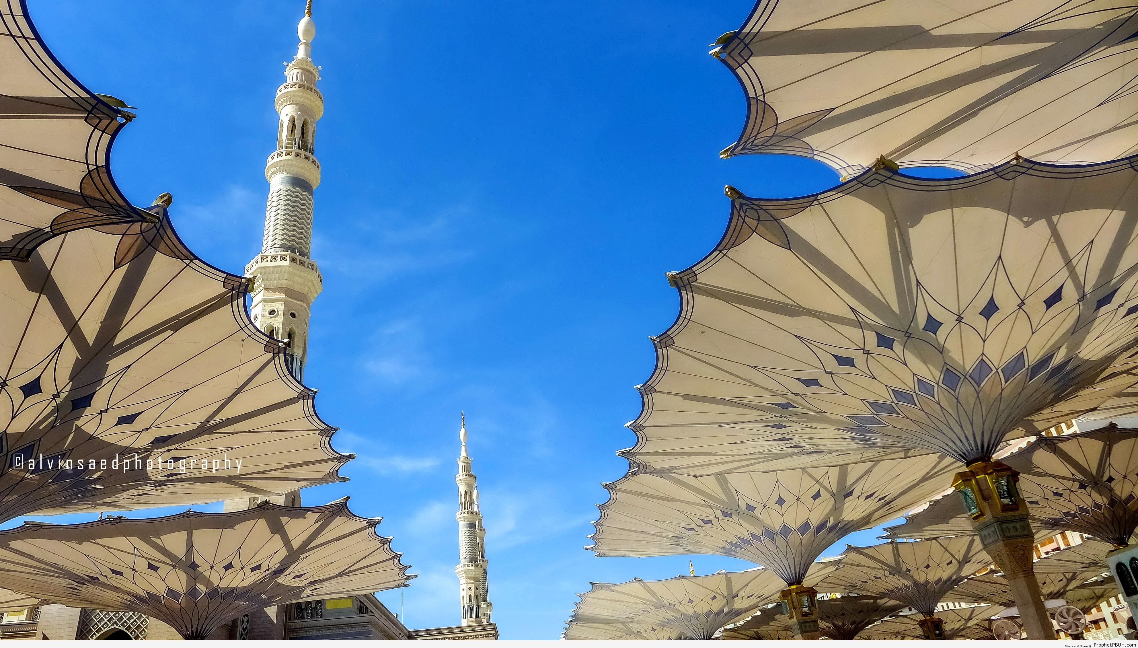 al-Masjid an-Nabawi Umbrellas - Al-Masjid an-Nabawi (The Prophets Mosque) in Madinah, Saudi Arabia -Picture