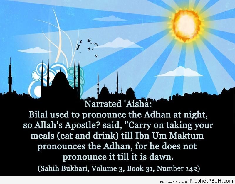 sahih bukhari volume 3 book 31 number 142