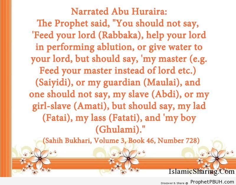 sahih bukhari volume 3 book 46 number 728