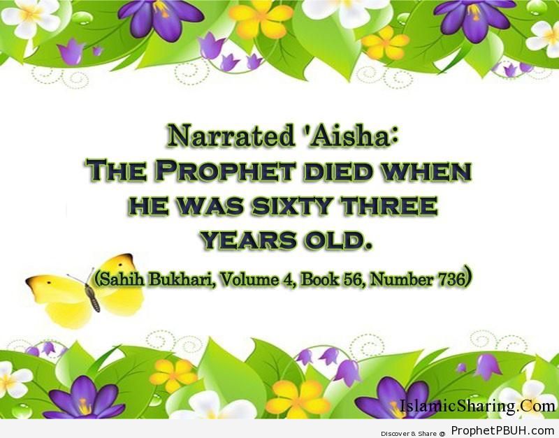 sahih bukhari volume 4 book 56 number 736