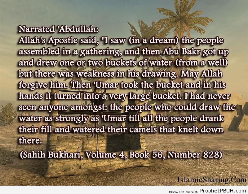 sahih bukhari volume 4 book 56 number 828