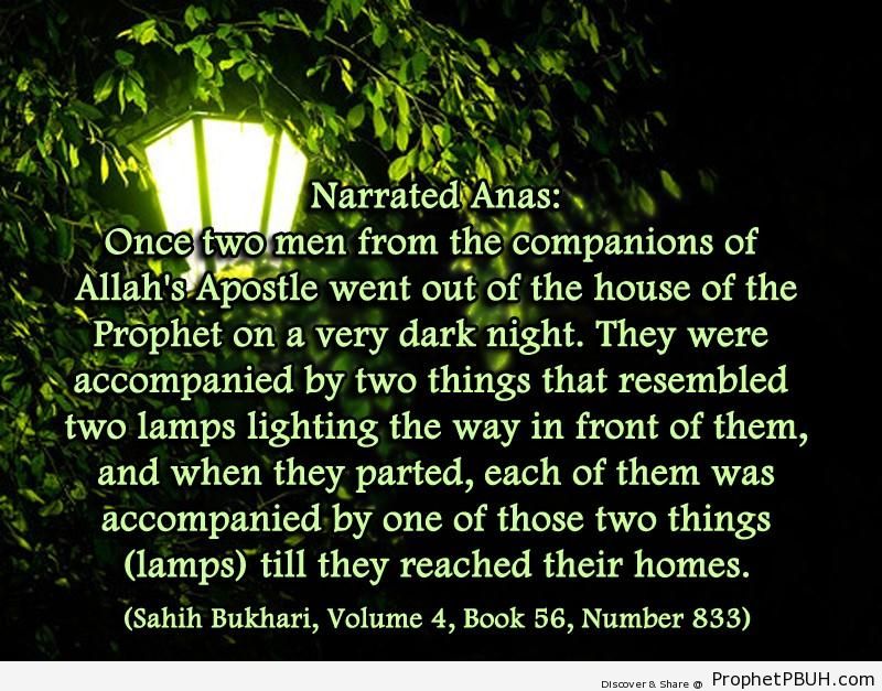 sahih bukhari volume 4 book 56 number 833