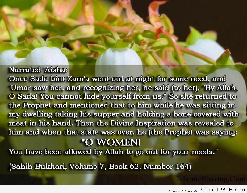 sahih bukhari volume 7 book 62 number 164