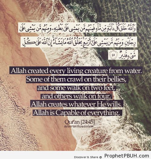 Allah is capable of everything - Islamic Quotes, Hadiths, Duas