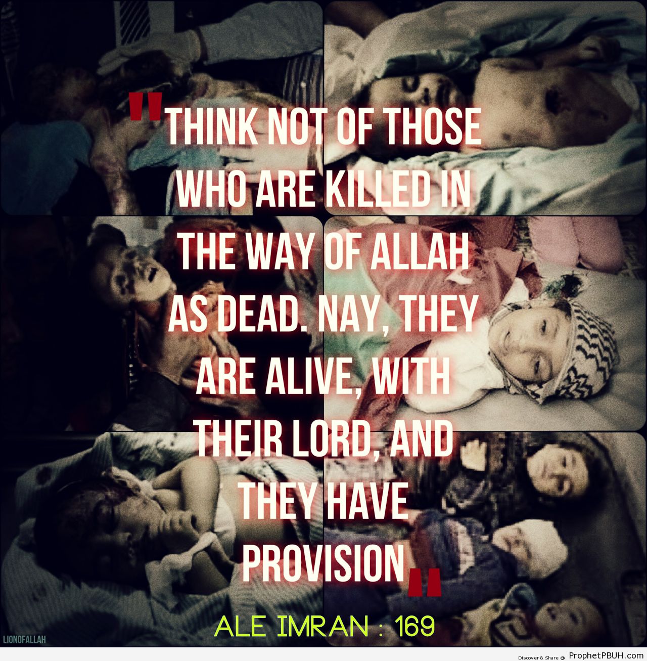 AllahuAkbar, THEY ARE ALIVE, THEY... - Islamic Quotes, Hadiths, Duas-001