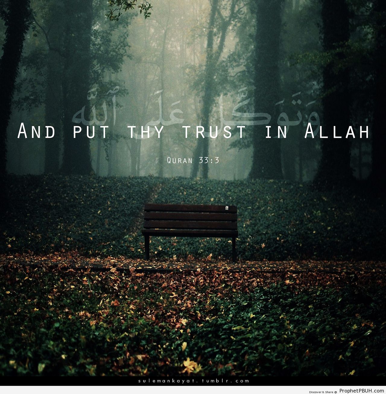 And put thy trust in Allah, and... - Islamic Quotes, Hadiths, Duas
