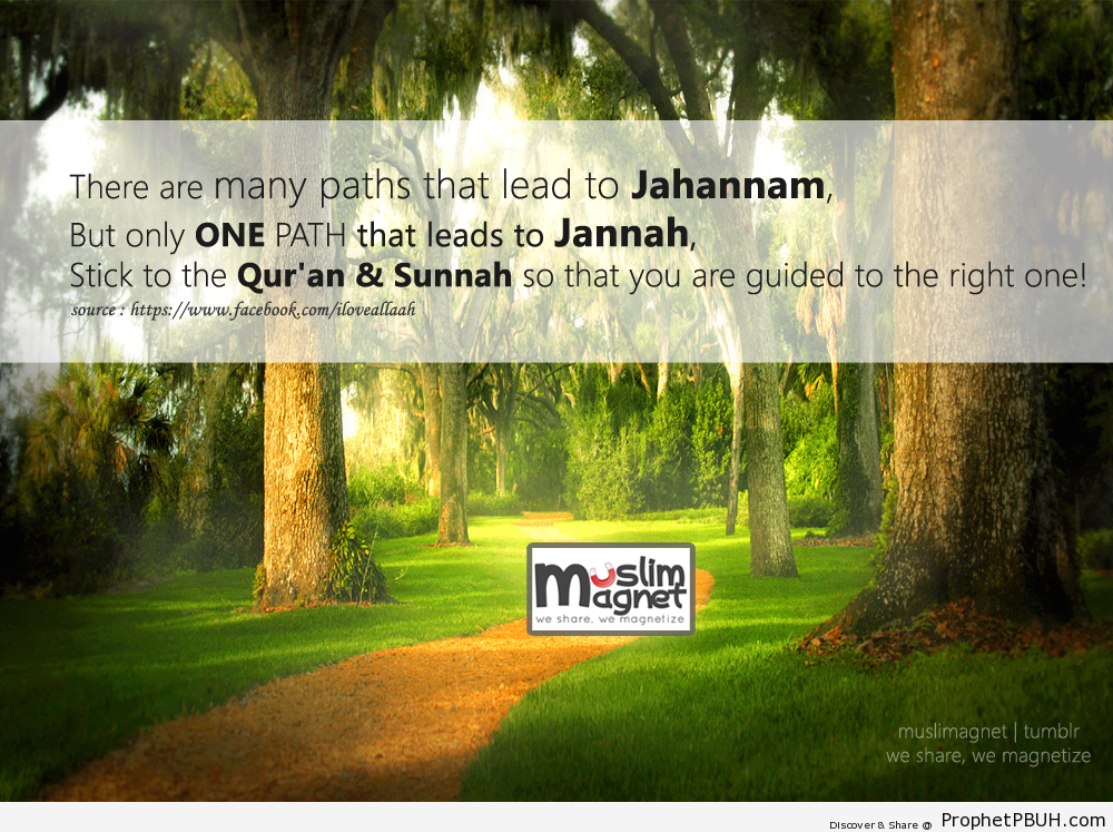 Choose your path! - Islamic Quotes, Hadiths, Duas