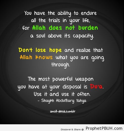 Dont lose hope - Islamic Quotes, Hadiths, Duas
